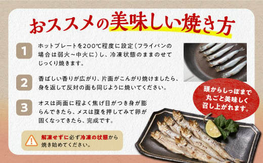 しらぬか産 本ししゃも 30尾 オスメス 各15尾 ししゃも シシャモ 子持ちししゃも 卵 魚卵 魚 魚介 国産 北海道 北海道産 ふるさと納税