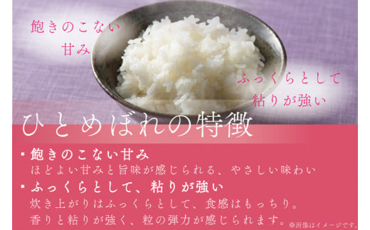 ★令和6年産★【3ヶ月定期便】特A受賞 銀河のしずく・ひとめぼれ食べ比べセット10kg (各種5kg) (無洗米) (AE167)