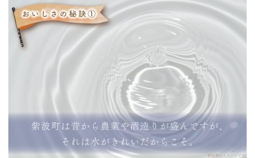 ★令和6年産★【3ヶ月定期便】特A受賞 銀河のしずく・ひとめぼれ食べ比べセット10kg (各種5kg) (無洗米) (AE167)