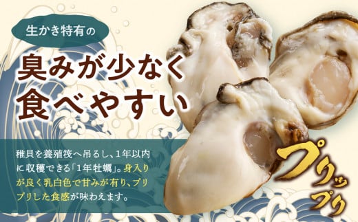 【 2025年2月上旬発送 】岡山県日生産 生鮮かき（むき身）加熱用（300ｇ×2パック）【 全国牡蠣-1グランプリ豊洲2024 加熱部門初代グランプリ受賞！ 生鮮 牡蠣 600g 生鮮牡蠣 むき身 プリプリした食感  一年牡蠣】