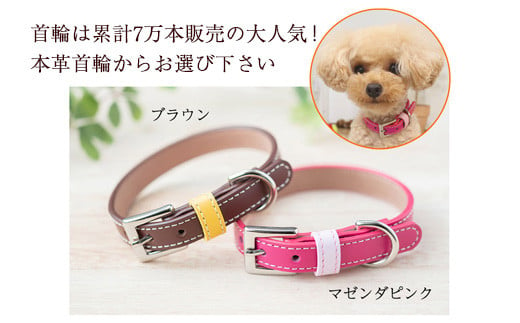 No.026 迷子札付き犬首輪　本革製　ネームタグ　日本製　ペット用品