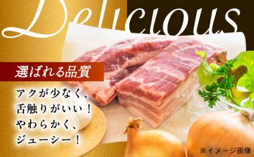 大西海SPF豚 肩ロースブロック 計1.5kg（2～3個）長崎県/長崎県農協直販 [42ZZAA068] 肉 豚 ぶた ブタ ロース 塊 ブロック 西海市 長崎 九州