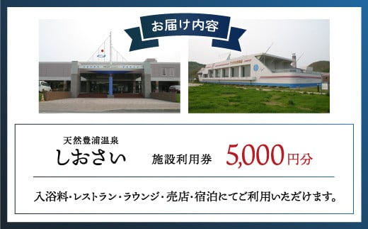 【天然豊浦温泉しおさい】施設利用券 5,000円分 【ふるさと納税 人気 おすすめ ランキング チケット 宿泊券 チケット 温泉 ホテル 旅館 観光地 家族 おいしい 美味しい 甘い 北海道 豊浦町 送料無料】 TYUAA004