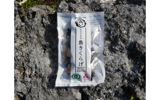 沖永良部島名産 さとうきび島きくらげ50g　C002-006