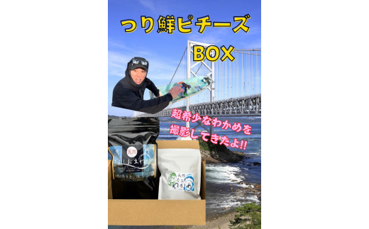 【ピチーズBOX】 天然なるとわかめ 200g×2袋 350g×2袋 【 減塩 】  鳴門わかめ わかめ 天然 国産 希少 人気 湯通し 塩蔵 味噌汁 みそ汁 スープ お刺身 サラダ 酢の物 和え物