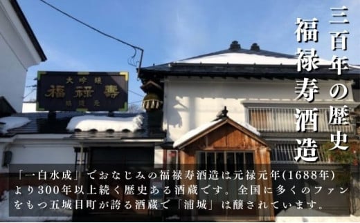 【生酒】純米吟醸無濾過原酒「浦城」生＆雪景色(にごり酒）飲み比べ2本セット  720ml 各1本