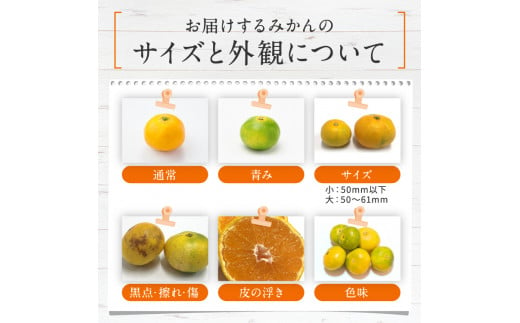 訳あり くまもと みかん 約 10kg 【 10月 ～ 11月上旬頃 発送 】 | 果物 みかん くだもの みかん フルーツ みかん 柑橘 みかん 柑橘類 みかん ミカン 家庭用 みかん 熊本県 みかん 玉名市 みかん