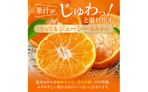 訳あり くまもと みかん 約 10kg 【 10月 ～ 11月上旬頃 発送 】 | 果物 みかん くだもの みかん フルーツ みかん 柑橘 みかん 柑橘類 みかん ミカン 家庭用 みかん 熊本県 みかん 玉名市 みかん