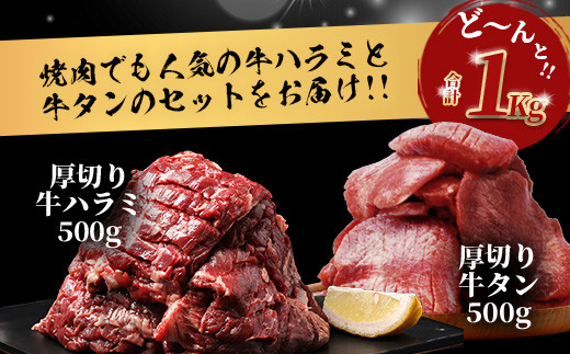 【10月発送】人気セット！ 厚切り 牛 ハラミ ステーキ＆ 厚切り 牛タン 【合計 1㎏ 】 焼肉 バーベキュー キャンプ アウトドア 牛たん ハラミ 焼き肉 カット済み 塩味 牛肉 肉  冷凍 パック 067-0672