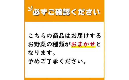 使用しない 冬野菜 おまかせ セット 5~7品 少量 家庭用 阿波市産 徳島県