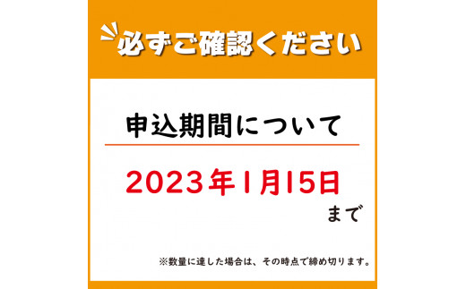 使用しない 冬野菜 おまかせ セット 5~7品 少量 家庭用 阿波市産 徳島県