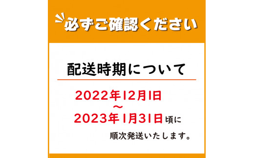 使用しない 冬野菜 おまかせ セット 5~7品 少量 家庭用 阿波市産 徳島県