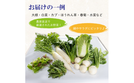 使用しない 冬野菜 おまかせ セット 5~7品 少量 家庭用 阿波市産 徳島県