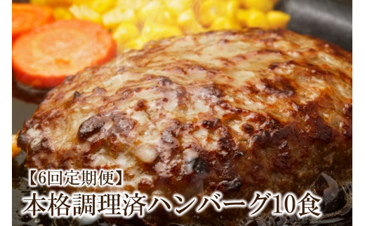 【6回定期便】本格調理済ハンバーグ10食 特製ソース付【001-0379】