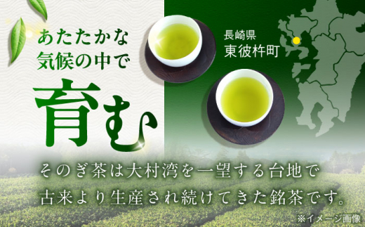 【全3回定期便】そのぎ茶 490ml×24本 長崎県/長崎県農協直販 [42ZZAA199]缶 ドリンク 飲料 茶 お茶 おちゃ 飲み物 長崎県産 緑茶 彼杵 長崎