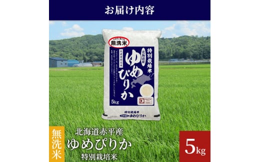 無洗米 北海道赤平産 ゆめぴりか 5kg 特別栽培米 米 北海道