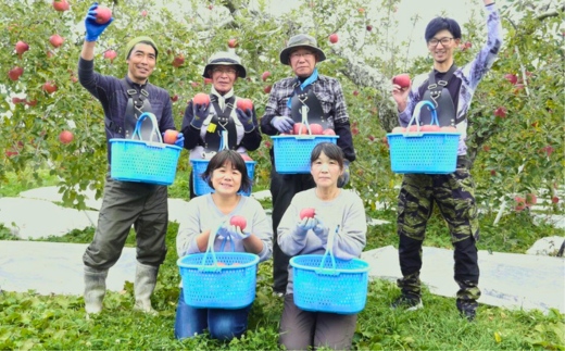 KR16-24A  りんご サンふじ （小玉） 贈答 約5kg / 11月下旬頃～配送予定 // 長野県 南信州 松川町 ギフト りんご リンゴ 林檎 サンふじ 贈答