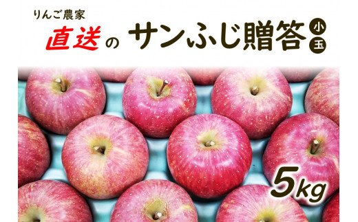 りんご農家直送！松川町産 サンふじ 贈答用（小玉／17～20玉）