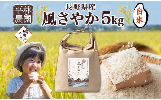 無地熨斗 令和6年産 風さやか 白米 5kg×1袋 長野県産 米 精米 お米 ごはん ライス 甘み 産直 信州 人気 ギフト 平林農園 熨斗 のし 名入れ不可 送料無料 長野県 大町市