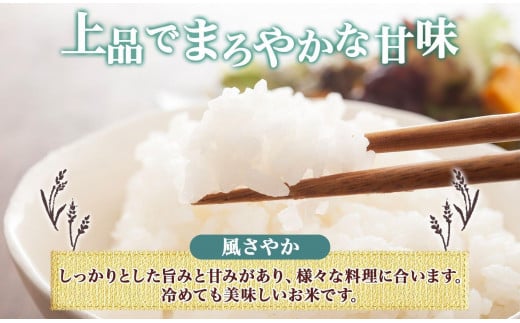 無地熨斗 令和6年産 風さやか 白米 5kg×1袋 長野県産 米 精米 お米 ごはん ライス 甘み 産直 信州 人気 ギフト 平林農園 熨斗 のし 名入れ不可 送料無料 長野県 大町市