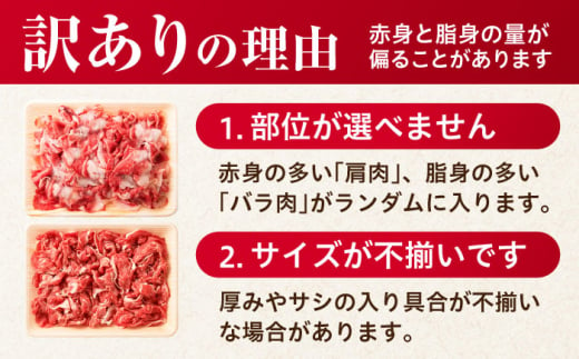 【2025年2月発送】【不揃い訳あり・部位おまかせ】佐賀産和牛 切り落とし 肩orバラ 計1.2kg（600g×2） 吉野ヶ里町 [FDB001]