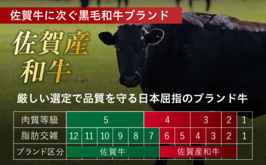 【2025年2月発送】【不揃い訳あり・部位おまかせ】佐賀産和牛 切り落とし 肩orバラ 計1.2kg（600g×2） 吉野ヶ里町 [FDB001]