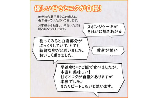 今井のたまご 30個 定期便 6ヶ月 卵10個×3箱 2L L ミックス