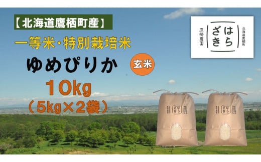 A272 【令和６年産】一等米・特別栽培米 10kg【ゆめぴりか玄米】５kg×２（農薬７割減）北海道 鷹栖町 原崎農園 