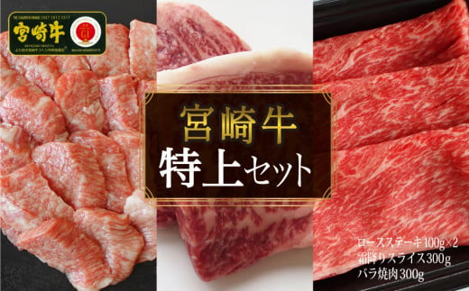 【宮崎牛】特上セット ロース ステーキ 100g×2 & 霜降り スライス 300g & 牛バラ焼肉 300g 計800g [SHINGAKI 宮崎県 美郷町 31ag0066] 牛肉 焼肉 鉄板焼き 黒毛 和牛 国産 宮崎 A4 A5等級 牛 宮崎県産 冷凍 送料無料 ブランド 牛 肉 霜降り BBQ バーベキュー キャンプ