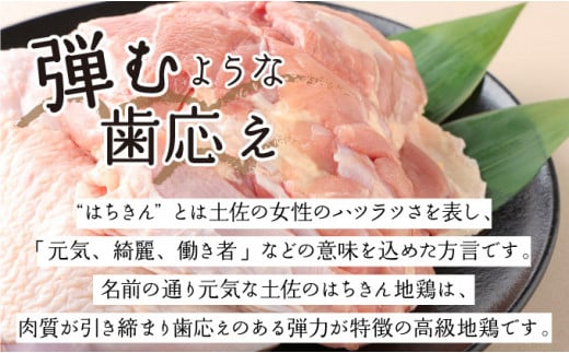 土佐はちきん地鶏の鶏しゃぶ＆鶏鍋堪能セット