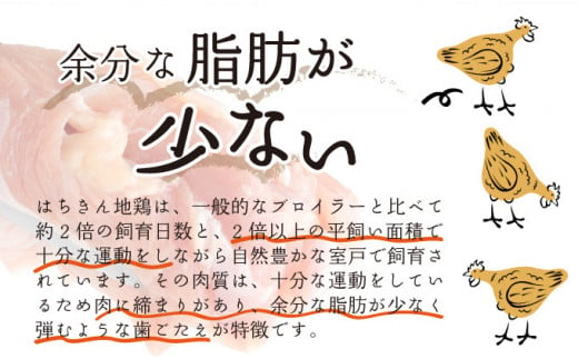 土佐はちきん地鶏の鶏しゃぶ＆鶏鍋堪能セット