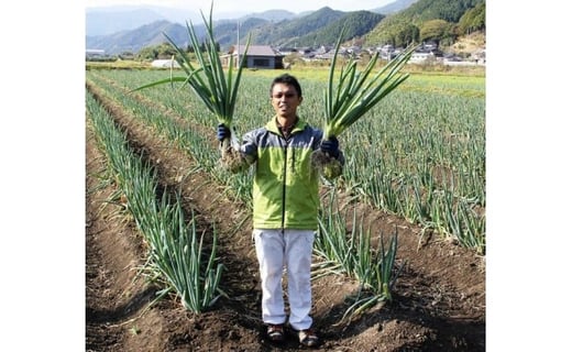 髙本さんちの土付き岩津ねぎ３㎏