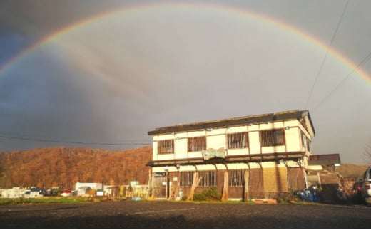 名水手打ちうどん生麺1.6kg かけ出汁セット 8～10人前［名水うどん野々傘］北海道京極町