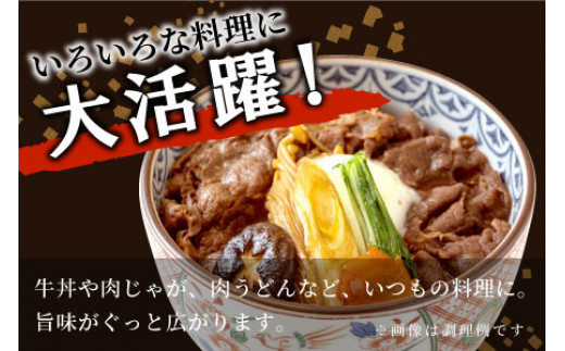 【3月発送】飛騨牛 切り落とし 600g 牛肉 和牛 肉 切落し ブランド牛 国産 牛 10000円