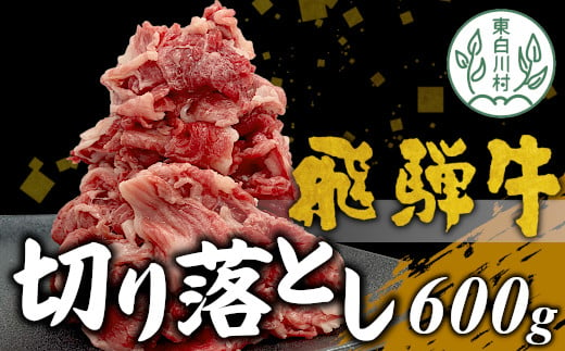 【3月発送】飛騨牛 切り落とし 600g 牛肉 和牛 肉 切落し ブランド牛 国産 牛 10000円