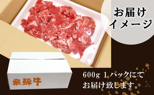 【3月発送】飛騨牛 切り落とし 600g 牛肉 和牛 肉 切落し ブランド牛 国産 牛 10000円