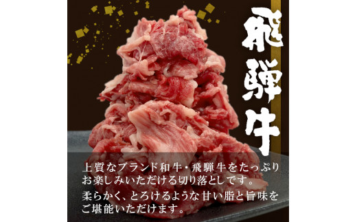 【3月発送】飛騨牛 切り落とし 600g 牛肉 和牛 肉 切落し ブランド牛 国産 牛 10000円