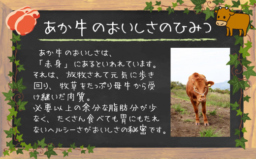 肥後の赤牛ハンバーグ　150ｇ×10定期便6回 G-39 | 熊本県 熊本 くまもと 和水町 なごみ 牛肉 肉 ハンバーグ 赤牛 あか牛 肥後 150g 定期便 定期 6回