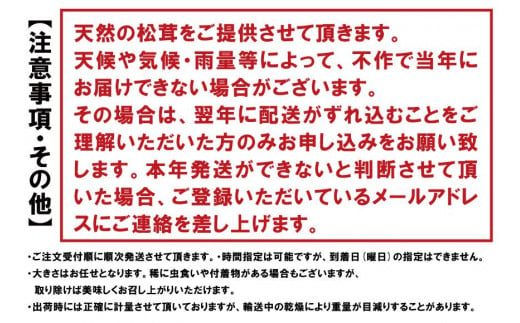 【2024寄付分】香り・歯応え・味ともに最高級！希少な国産松茸「高野松茸」200g【化粧箱入】