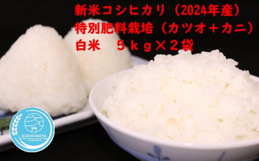 千葉県一宮町産特別肥料栽培『カツオ＋カニ』コシヒカリ（白米１０㎏）令和６年産米【2024年発送分】先行予約　一等米　５kg　２袋　白米　精米