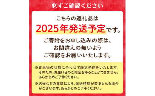 ≪先行受付≫千秋りんご約5kg・秀品 【2025年9月下旬～10月上旬配送予定】 【山形りんご・大江町産】 【054-001】