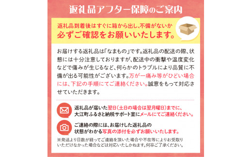 《先行予約》千秋りんご約5kg・秀品　【9月下旬～10月上旬配送予定】 【山形りんご・大江町産・9月・10月】 【054-001】