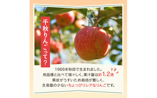 《先行予約》千秋りんご約5kg・秀品　【9月下旬～10月上旬配送予定】 【山形りんご・大江町産・9月・10月】 【054-001】