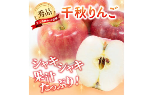 《先行予約》千秋りんご約5kg・秀品　【9月下旬～10月上旬配送予定】 【山形りんご・大江町産・9月・10月】 【054-001】