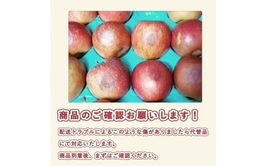 【12月発送】特A 濃厚サンふじ約3kg　糖度13度以上【青森りんご・マルコウアップル】