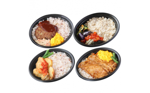 レンジでチンで食べられる冷凍弁当　健康幸せプレート4種　各1Pセット(健康ごはん付き)【1361432】