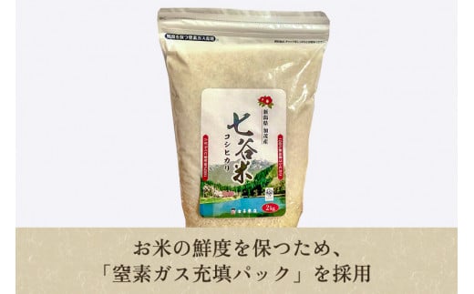 【令和6年産新米】【定期便5ヶ月毎月お届け】老舗米穀店が厳選 新潟産 従来品種コシヒカリ「七谷米」精米2kg 白米 窒素ガス充填パックで鮮度長持ち 金子米店 定期便