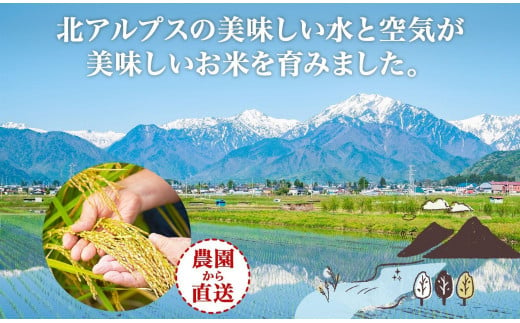 無地熨斗 令和6年産 風さやか 白米 10kg×1袋 長野県産 米 精米 お米 ごはん ライス 甘み 農家直送 産直 信州 人気 ギフト 平林農園 熨斗 のし 名入れ不可 送料無料 長野県 大町市