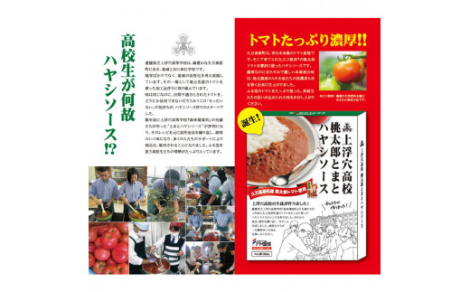 「まろやか高原カレー（180g×2箱）」「桃太郎とまとハヤシソース（180g×4箱）」｜計6箱 簡単 レトルト 食べ比べ セット ギフト 家族 一人暮らし 高校生応援 