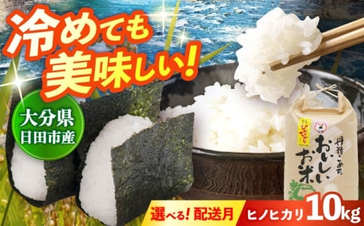 大分県産ヒノヒカリ ヒノヒカリ 新米 お米 大分県産 ひのひかり 10kg (5kg×2袋) 単一